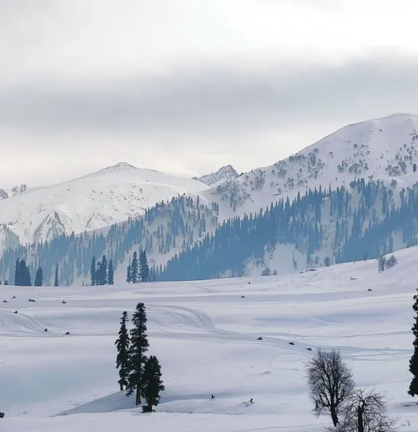 kashmir-tour-packages